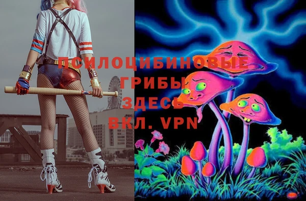 тгк Надым